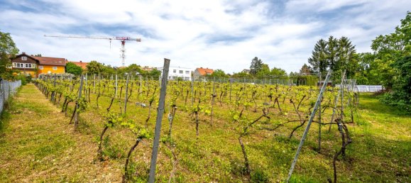 Terrain à Krems an der Donau, Austria No. 32645 9