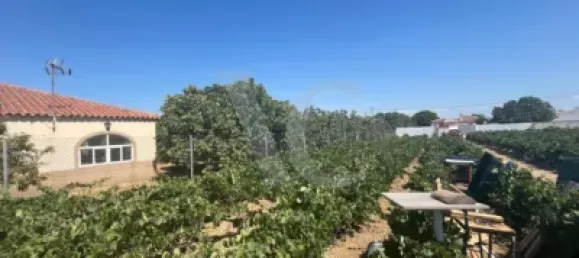 Земельный участок в Кадис, Испания № 170645 13