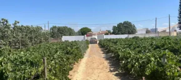 Земельный участок в Кадис, Испания № 170645 11