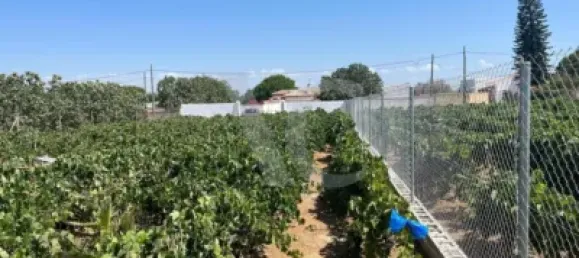 Земельный участок в Кадис, Испания № 170645 6