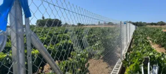 Земельный участок в Кадис, Испания № 170645 8