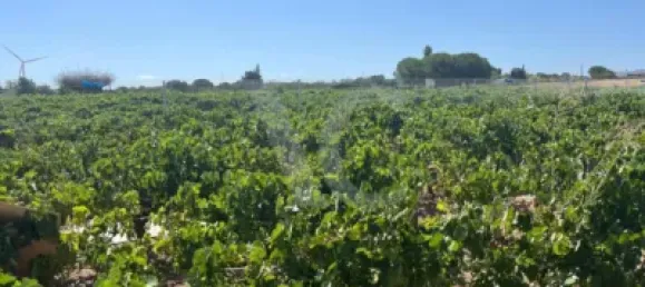 Земельный участок в Кадис, Испания № 170645 9