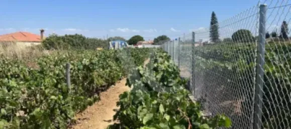 Земельный участок в Кадис, Испания № 170645 7