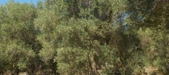 Grundstück in Andrano, Italy, Nr. 334645 2