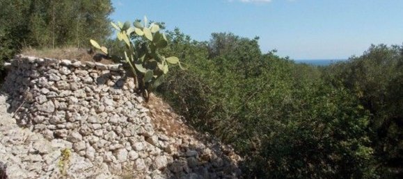 Grundstück in Andrano, Italy, Nr. 334645 5