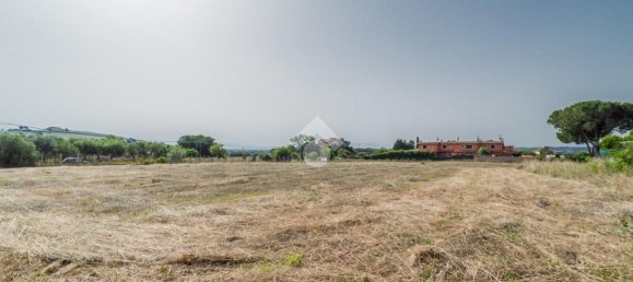  قطعة أرض في Formello, Italy 6943متر مربع رقم 154149 21