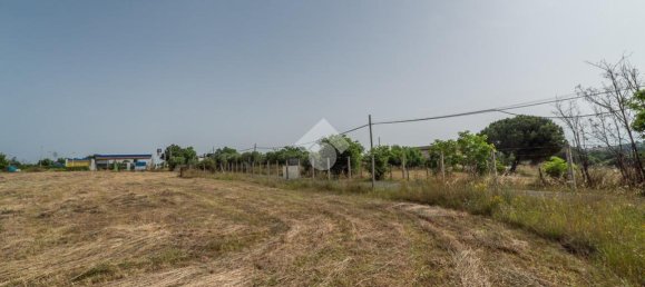  قطعة أرض في Formello, Italy 6943متر مربع رقم 154149 8