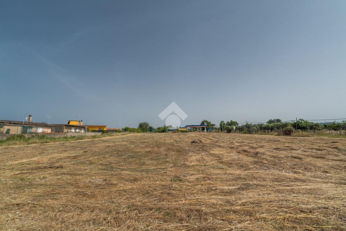  قطعة أرض في Formello, Italy 6943متر مربع رقم 154149