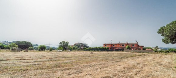  قطعة أرض في Formello, Italy 6943متر مربع رقم 154149 28