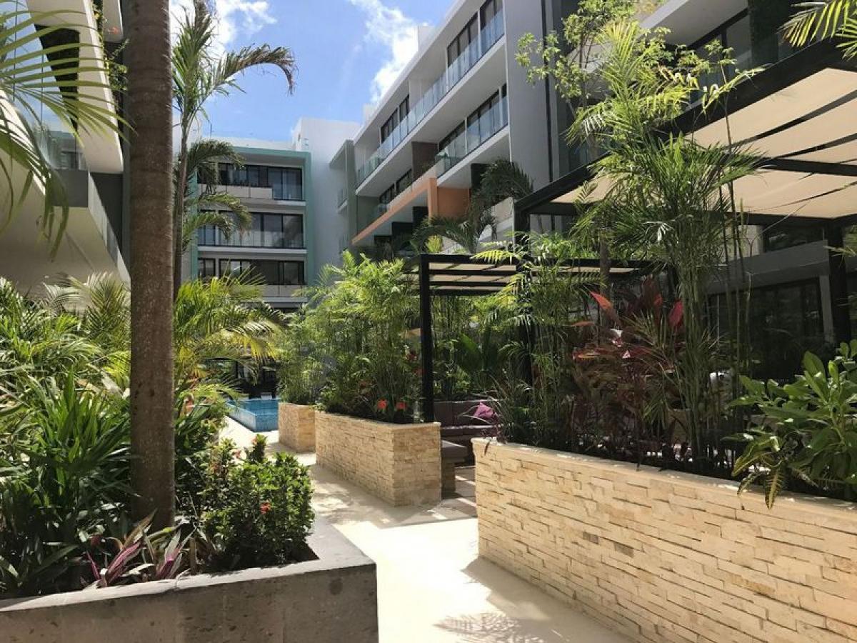 Estúdio em Solidaridad, Mexico N.º 184570