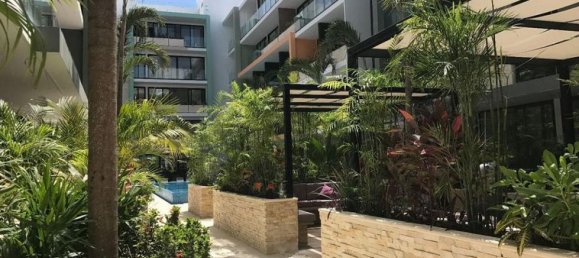 Estúdio em Solidaridad, Mexico N.º 184570 2