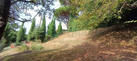 Villa T4 em Montaione, Italy N.º 344471 44