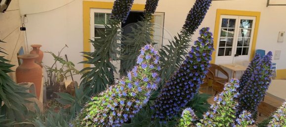 Склад 434м² в Вила ду Бишпу, Португалия № 157730 26