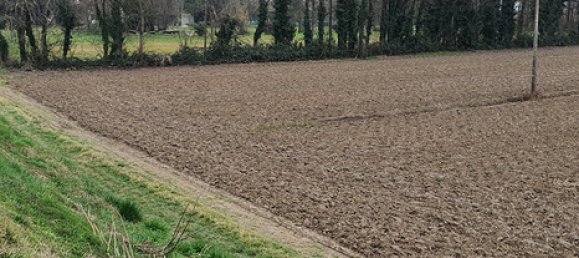 7500m² Land in Eraclea, Italy No. 252295 4