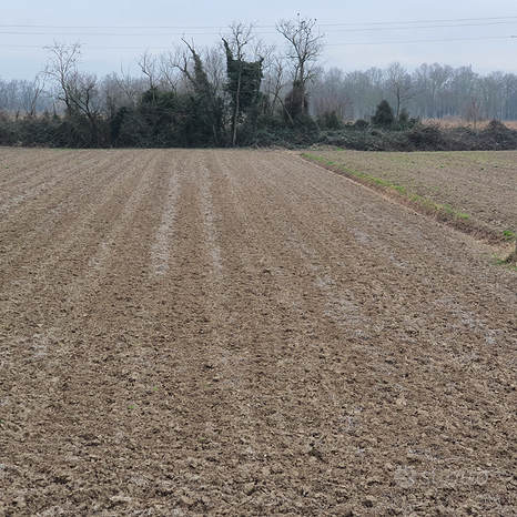 7500m² Land in Eraclea, Italy No. 252295