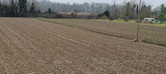 7500m² Land in Eraclea, Italy No. 252295 2