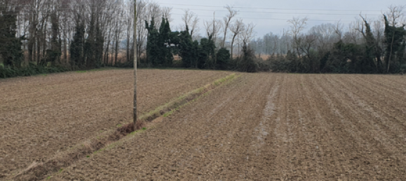7500m² Land in Eraclea, Italy No. 252295 3
