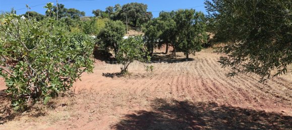 4 bedrooms House in Sao Bras de Alportel, Portugal No. 128364 19