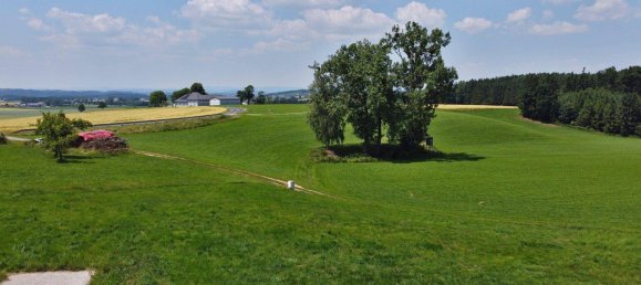 4غرفة منزل في Kirchham, Austria رقم 223056 7