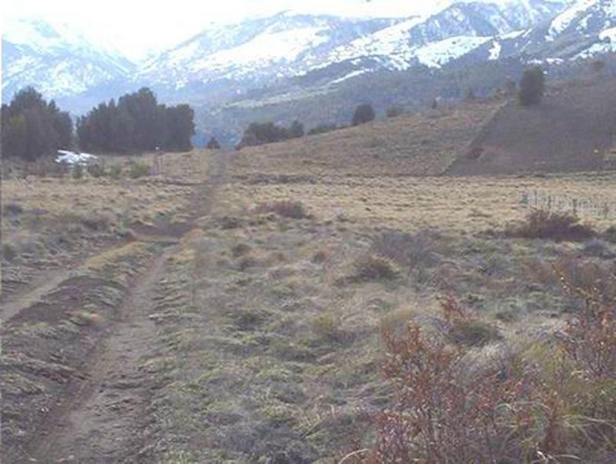 Terrain à Neuquen, Argentina No. 45468