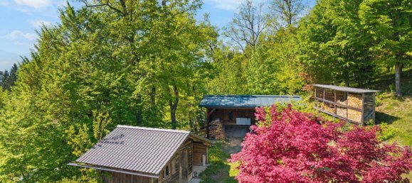 6-salle Villa à Techelsberg am Worther See, Austria No. 234204 28