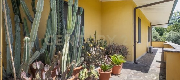 3 Schlafzimmer Villa in Sacrofano, Italy, Nr. 304443 33