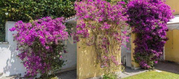 3 Schlafzimmer Villa in Sacrofano, Italy, Nr. 304443 24