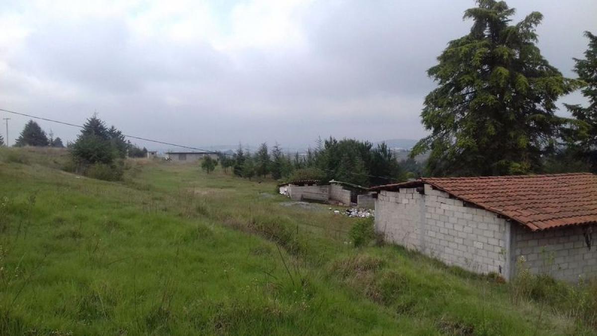  Land in Almoloya de Juarez, Mexico No. 207184