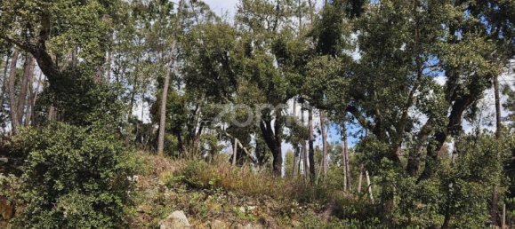 6 Schlafzimmer Haus in Serta, Portugal, Nr. 150414 25