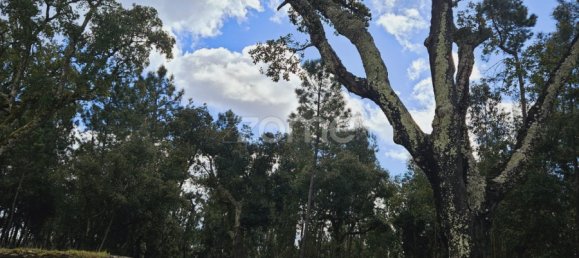 6 Schlafzimmer Haus in Serta, Portugal, Nr. 150414 21