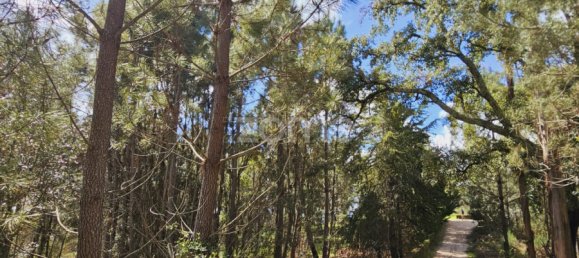 6 Schlafzimmer Haus in Serta, Portugal, Nr. 150414 24