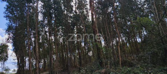 6 Schlafzimmer Haus in Serta, Portugal, Nr. 150414 18