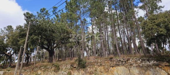 6 Schlafzimmer Haus in Serta, Portugal, Nr. 150414 23