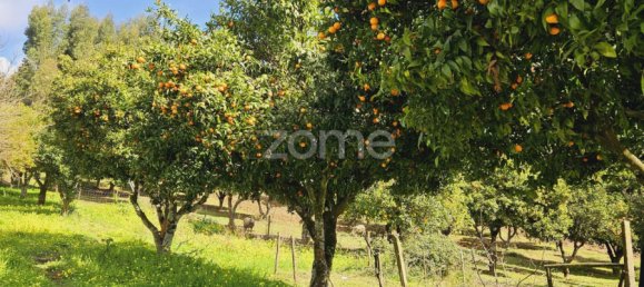 6 Schlafzimmer Haus in Serta, Portugal, Nr. 150414 4