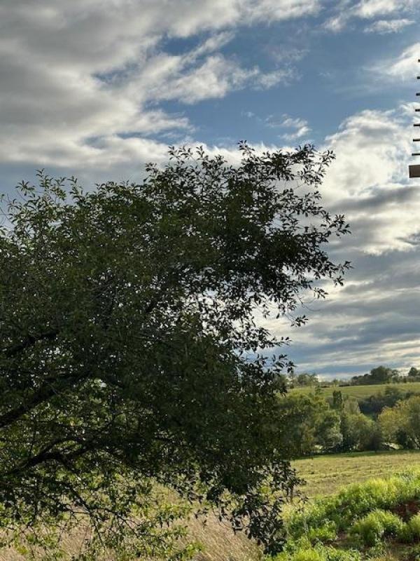 Terreno en Moncel-sur-Seille, France No. 74244