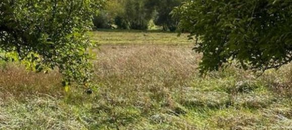 Terreno en Moncel-sur-Seille, France No. 74244 3