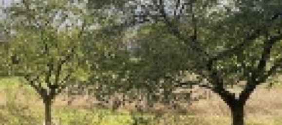 Terreno en Moncel-sur-Seille, France No. 74244 4