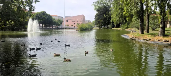 3 غرف نوم شقة في Barreiro, Portugal رقم 266162 4