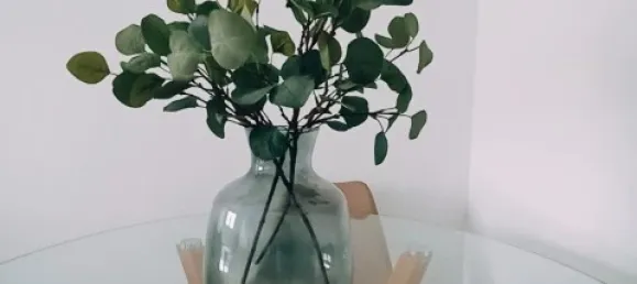 1 bedroom Apartment in Lisbon, Portugal No. 150490 11