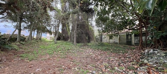 6 غرف نوم منزل في Ponta Delgada, Portugal رقم 184556 10