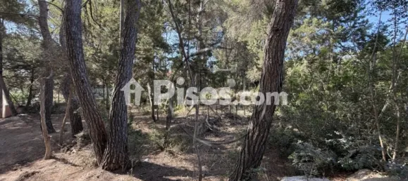  Land in Santa Eulalia Del Rio, Spain No. 170083 18