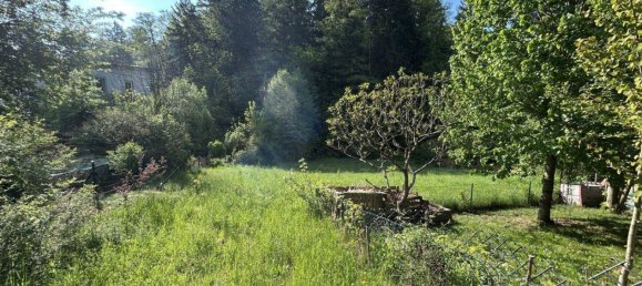  Land in Stattegg, Austria No. 233009 2