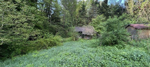  Land in Stattegg, Austria No. 233009 3