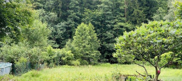  Land in Stattegg, Austria No. 233009 5