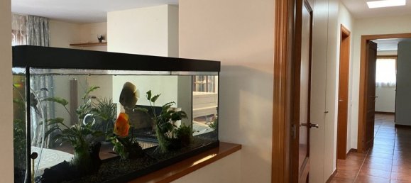 Villa T3 em Sant Andreu de Llavaneres, Spain N.º 7402 20