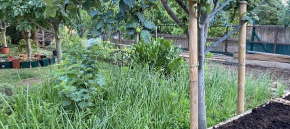 Villa T3 em Sant Andreu de Llavaneres, Spain N.º 7402 13