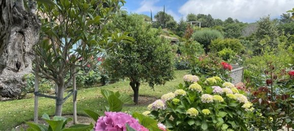 Villa T3 em Sant Andreu de Llavaneres, Spain N.º 7402 9