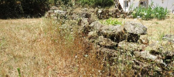 2 bedrooms House in Penela, Portugal No. 208848 5