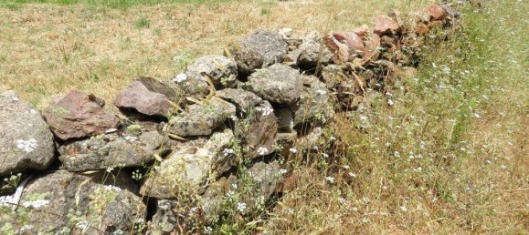 2 bedrooms House in Penela, Portugal No. 208848 4