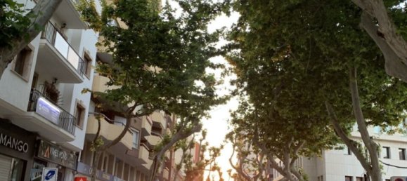 4 bedrooms Penthouse in County of Bentheim, Germany No. 190525 10